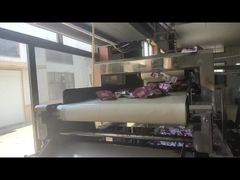 Altın ve kemer uzunluğu ayarlanabilir metal dedektörü nesneler denetimi için gıda metal dedektörü makinesi