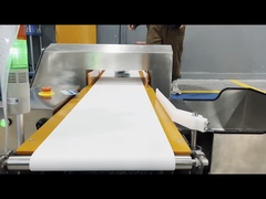 Gıda Derecesi Taşıyıcı Kemeri Otomatik reddedilme CE ile Metal Detektör makinesi