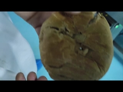 Otomatik Taşıyıcı Gıda Güvenliği Makine için Endüstriyel Metal Detektörü Özel OEM Üretici