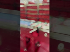 Endüstriyel Gıda X-ışını Denetimi Yabancı Nesne Bulma Makinesi