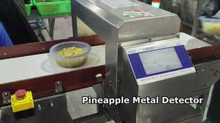 Ananas Üretim Hatları için Otomatik Gıda Sınıfı Metal Dedektörü